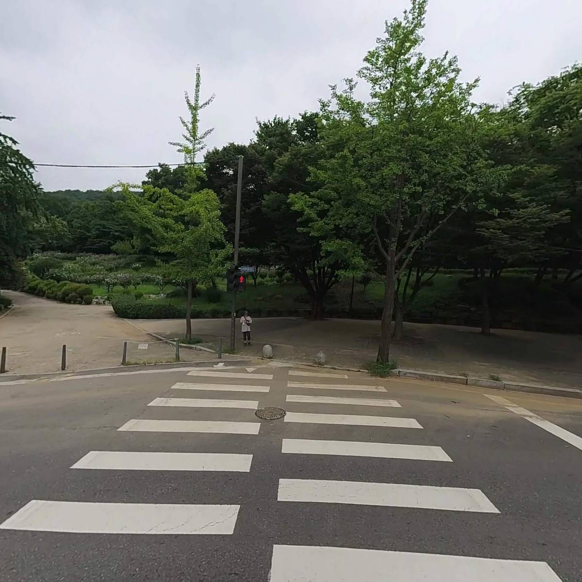 앨리스프로젝트