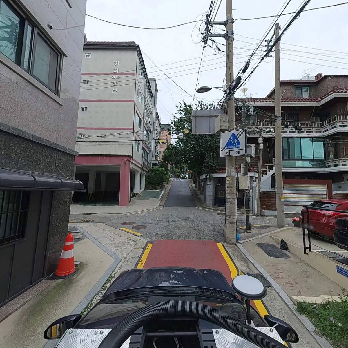 온마음 펫시터_4