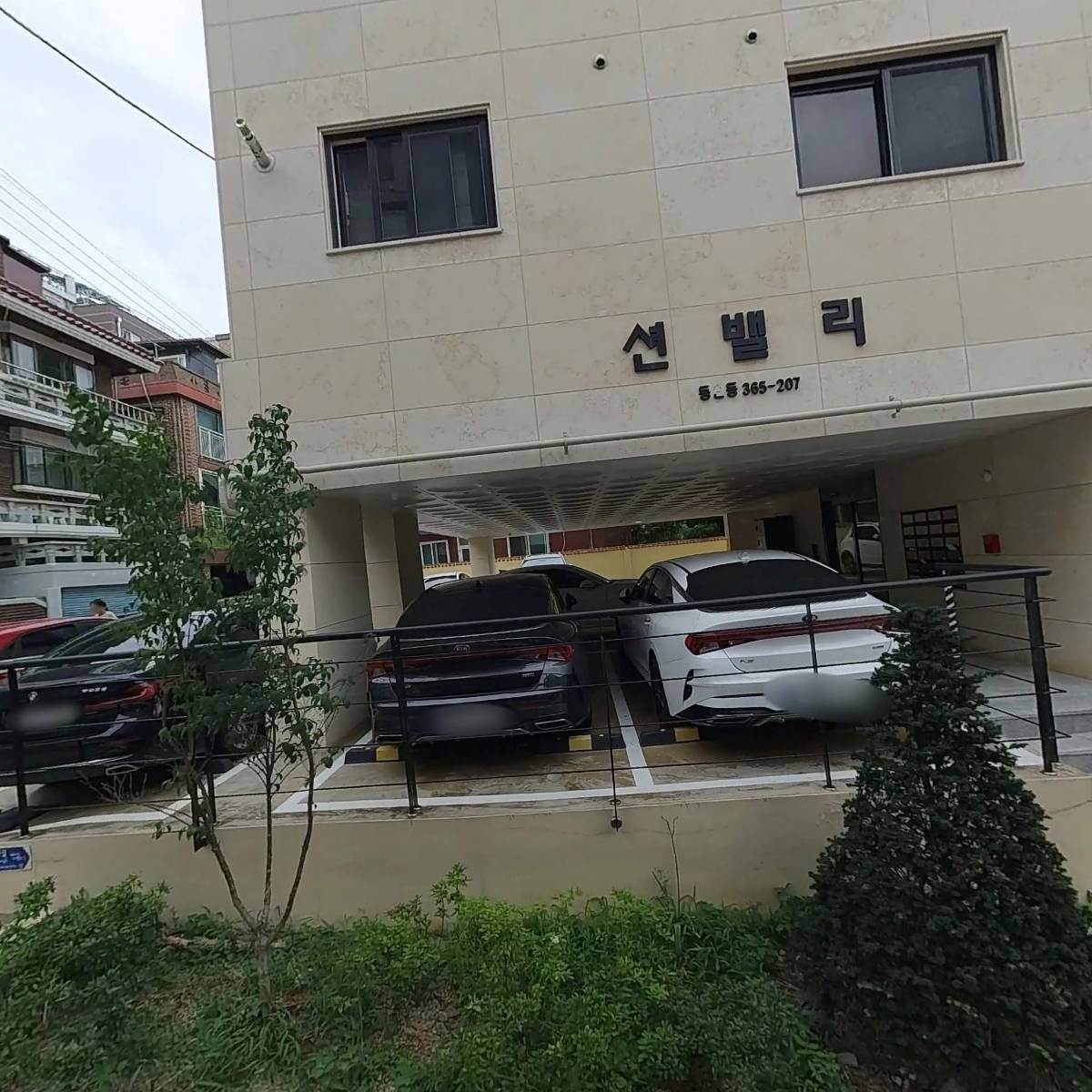 온마음 펫시터