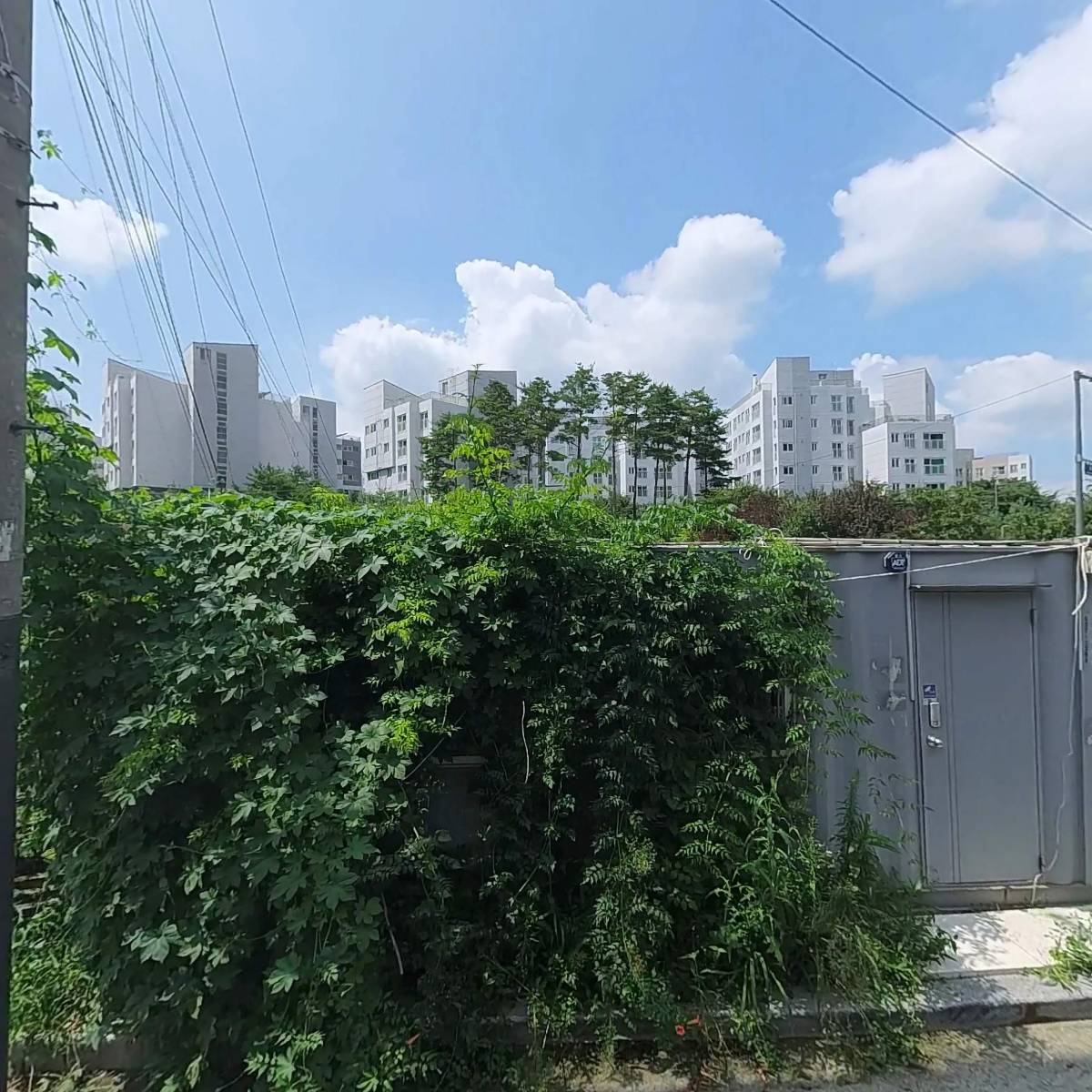 주식회사누모