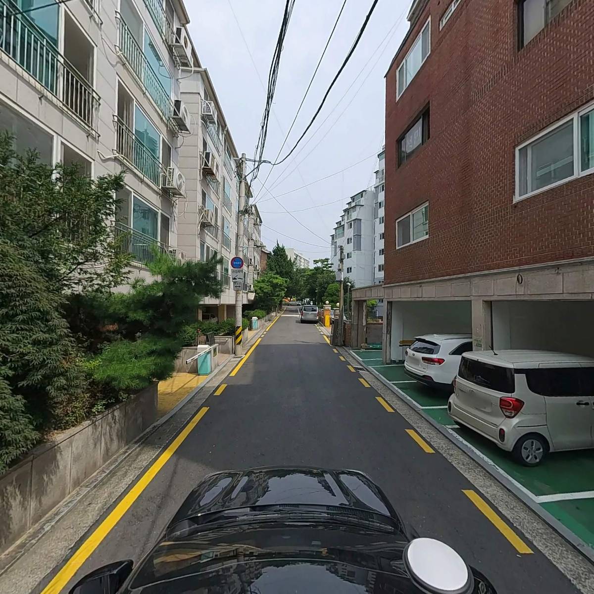 (주)셀라인팜_4