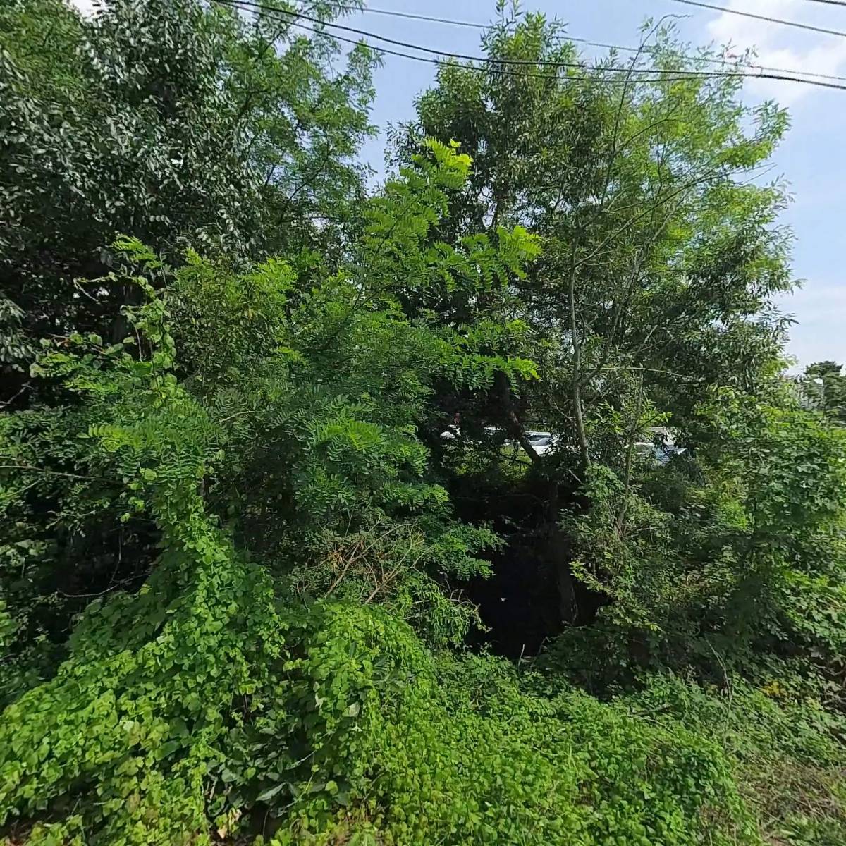 화성기전(주)