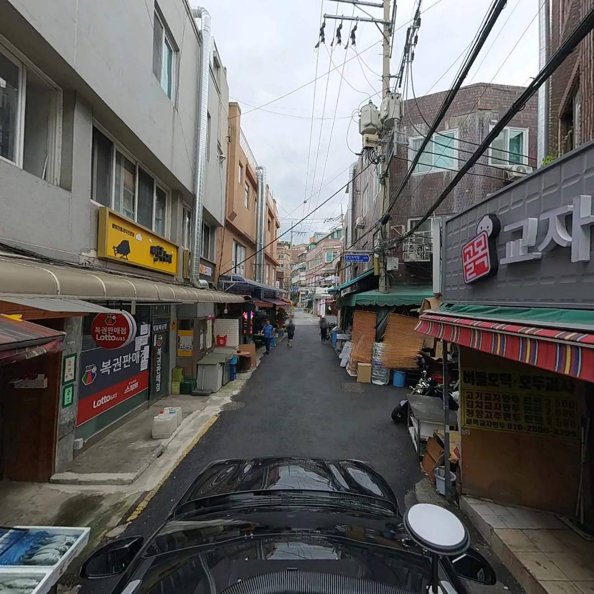 뽀삐_4