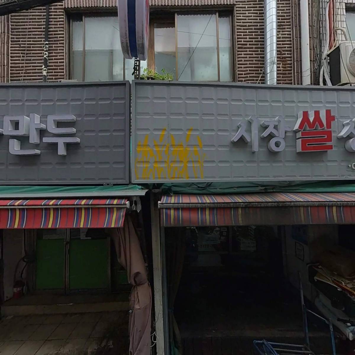 뽀삐