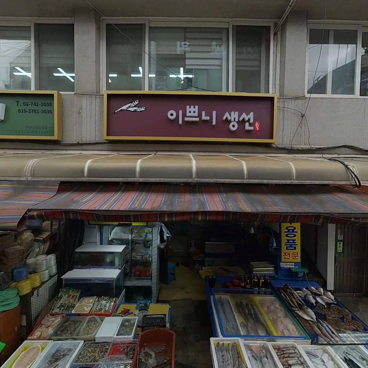 뽀삐_3