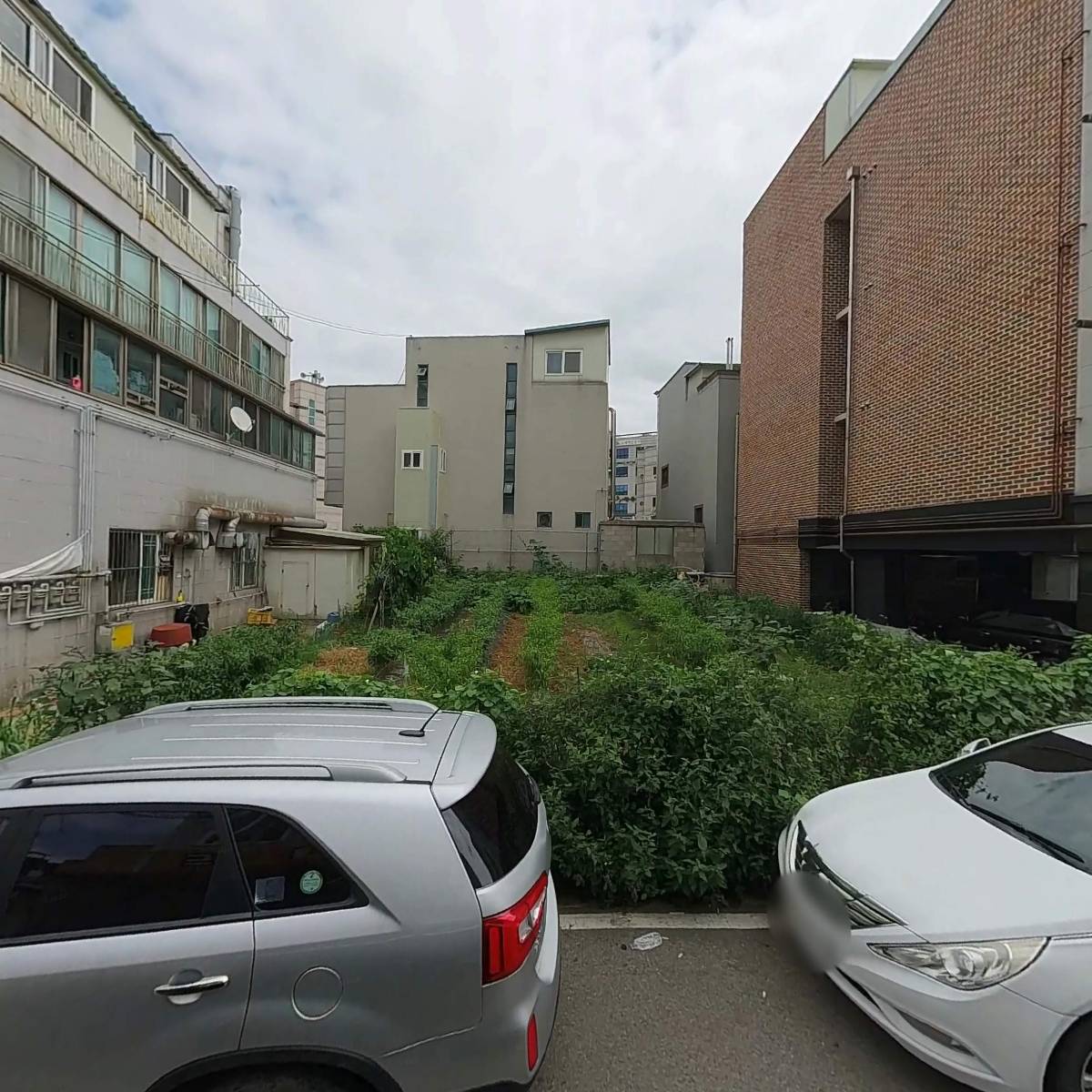 서평택카고크레인