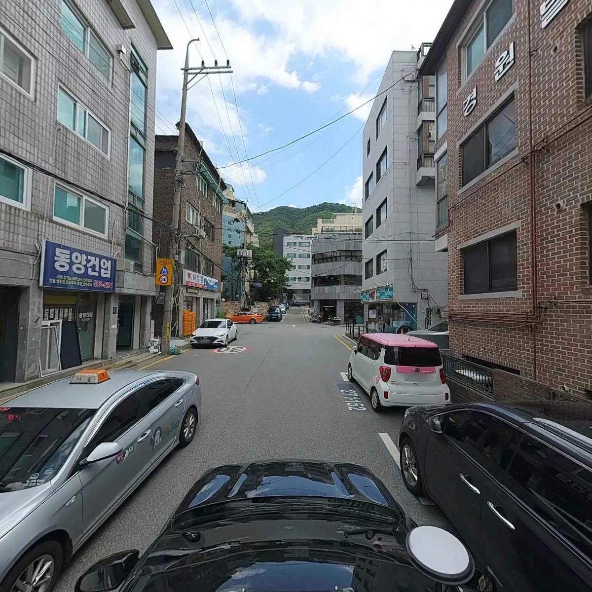 자이나디스트(XINADIST)_4