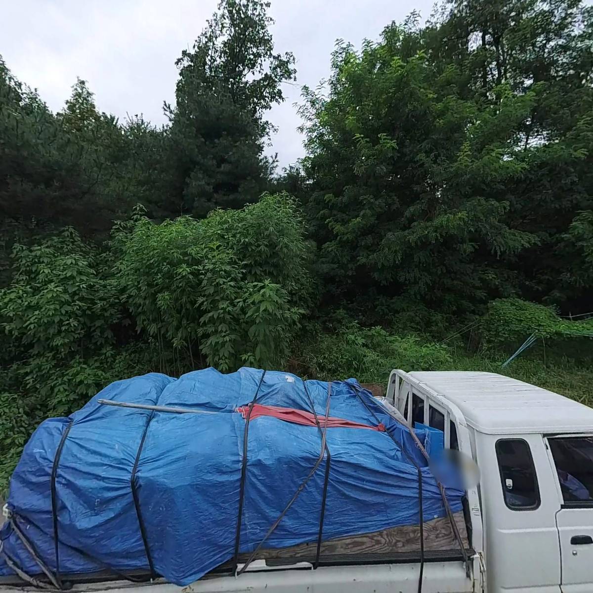 경도섬유 주식회사