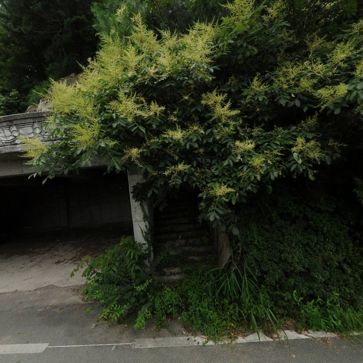 아틀라스펜션