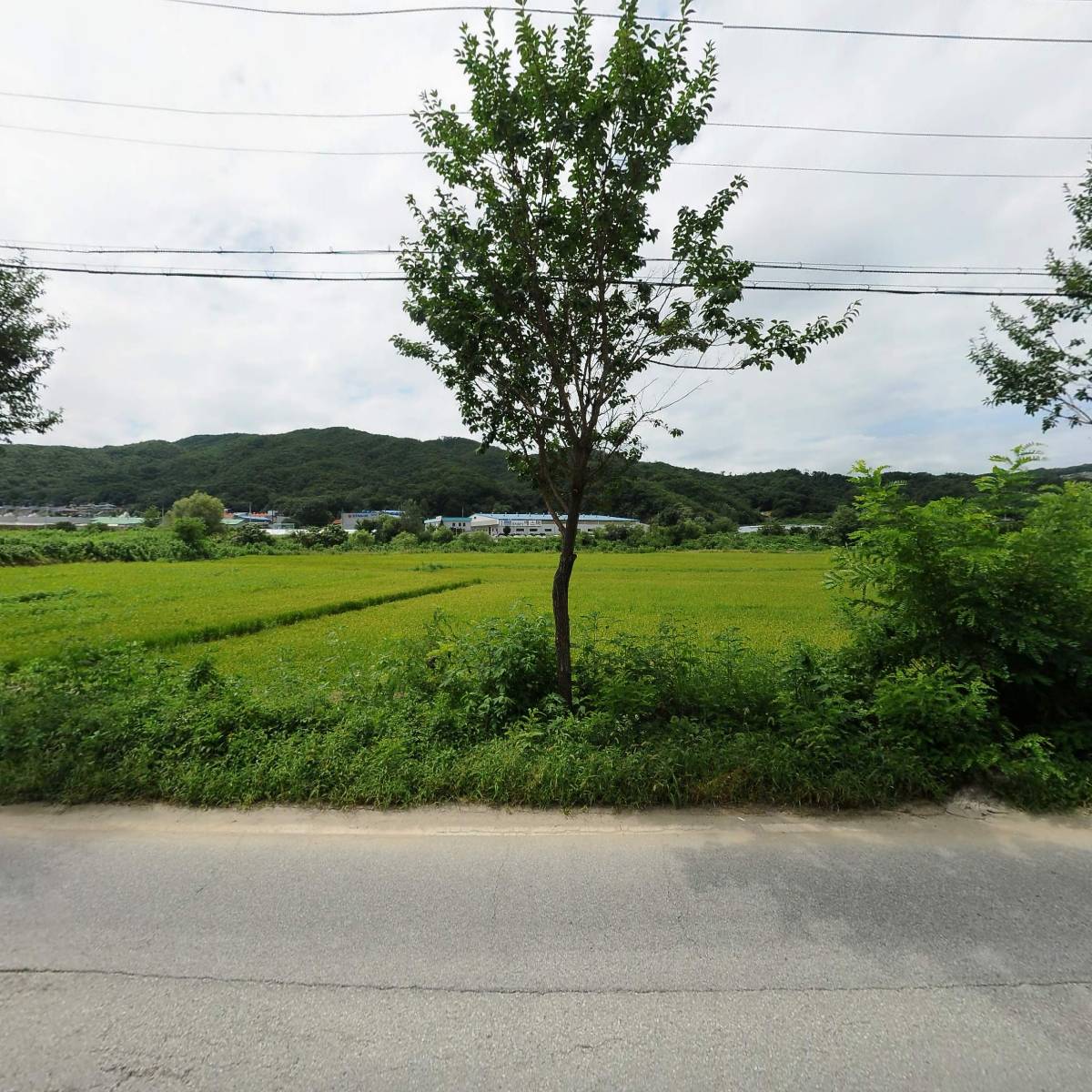 에스엔피_3