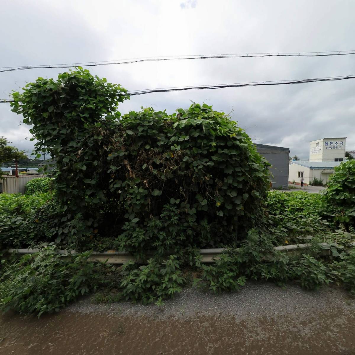 연화물류
