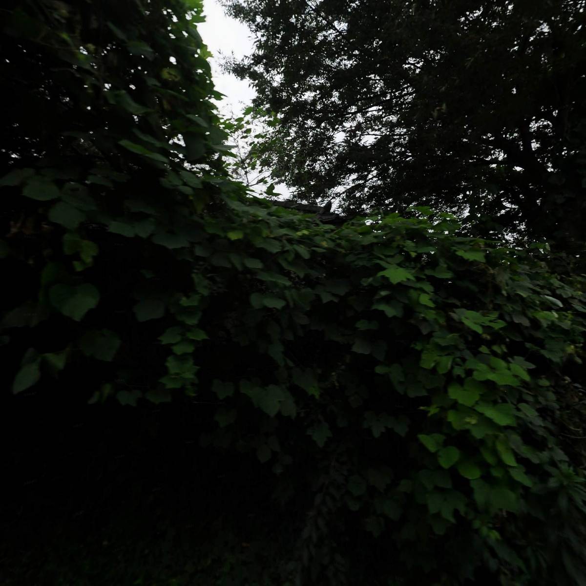 다온가구