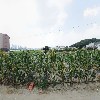 이마트24 이천갈산타운점