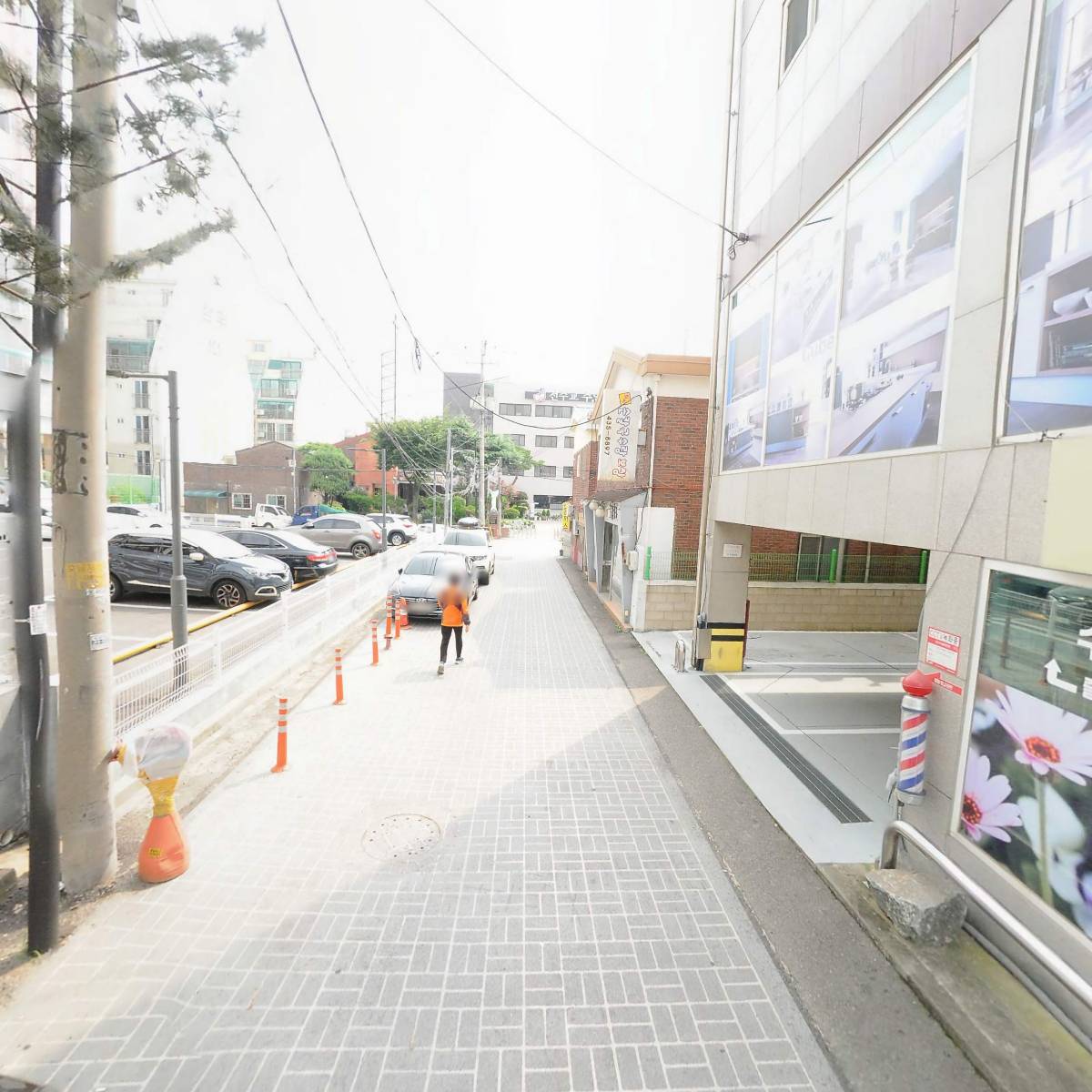 에이피에스엘 (APSL) 뉴스포츠_2