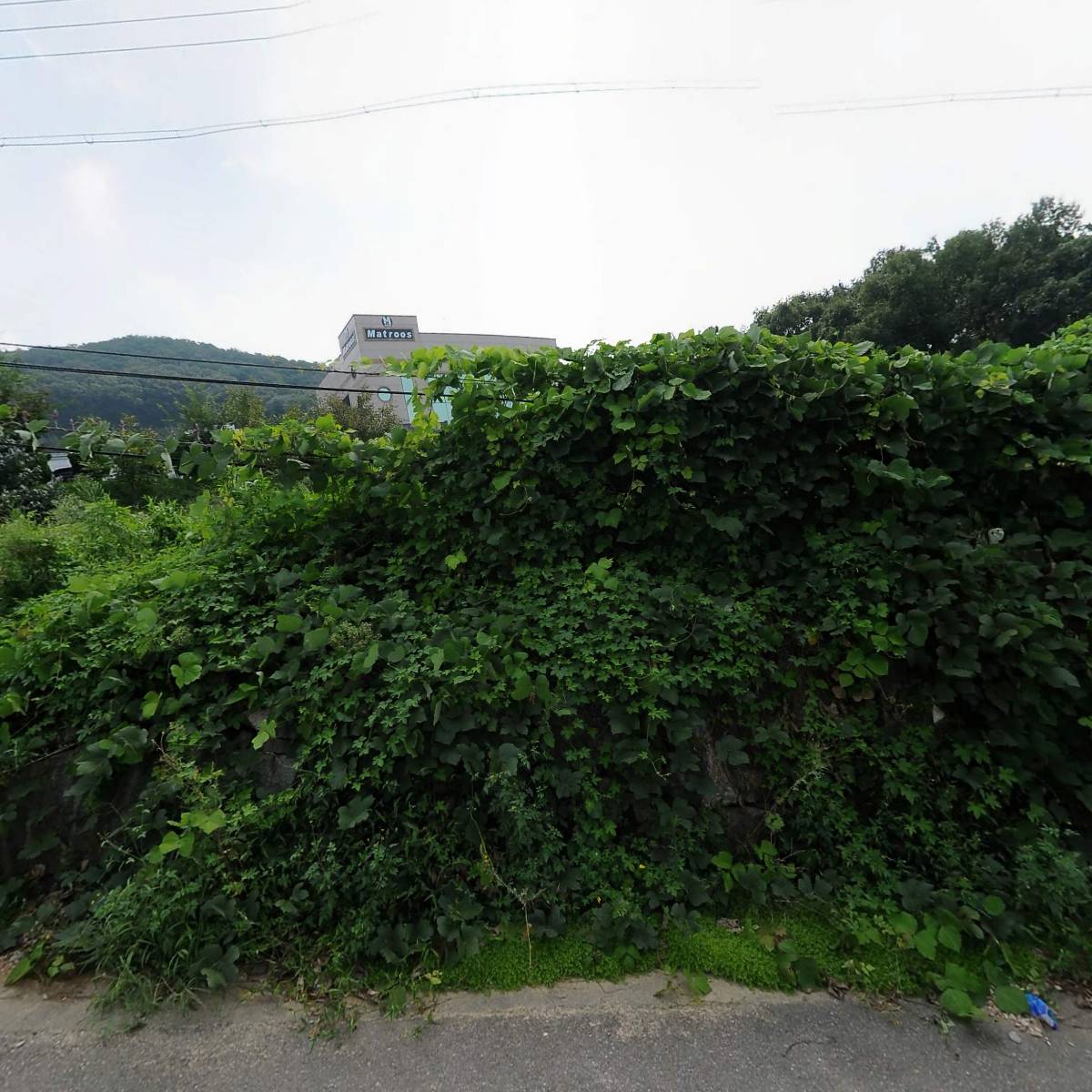 주식회사 우호세라믹