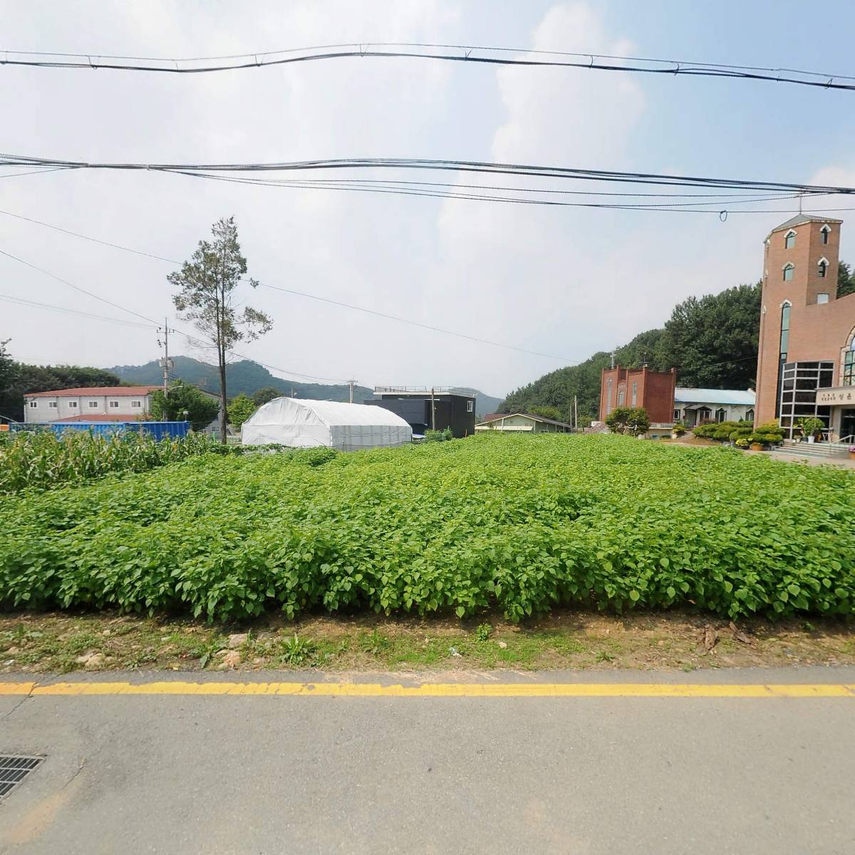 주식회사 네오메디칼_3