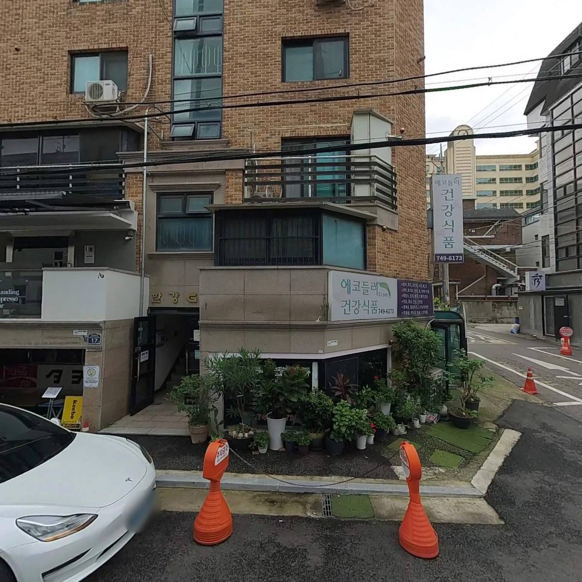 키보_3