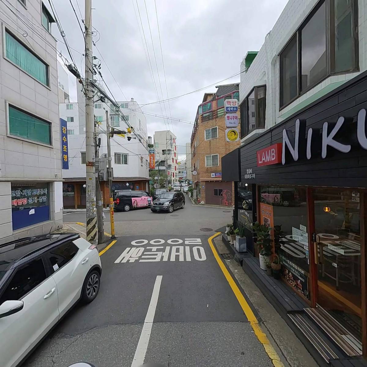 플랜티에이블_2
