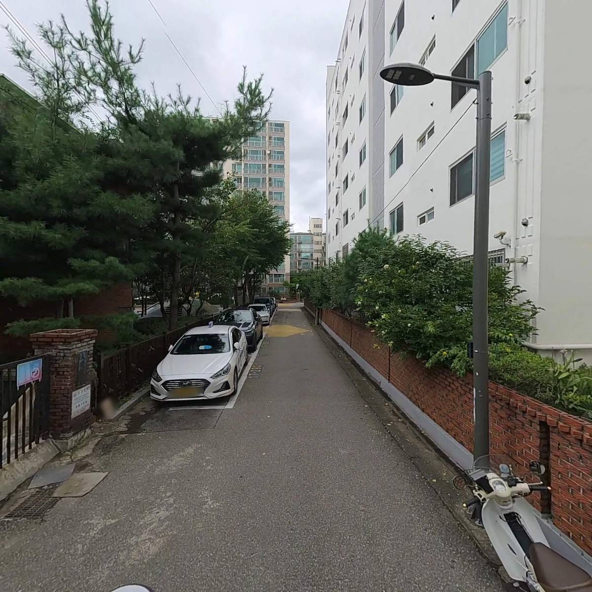 세꼬시_2