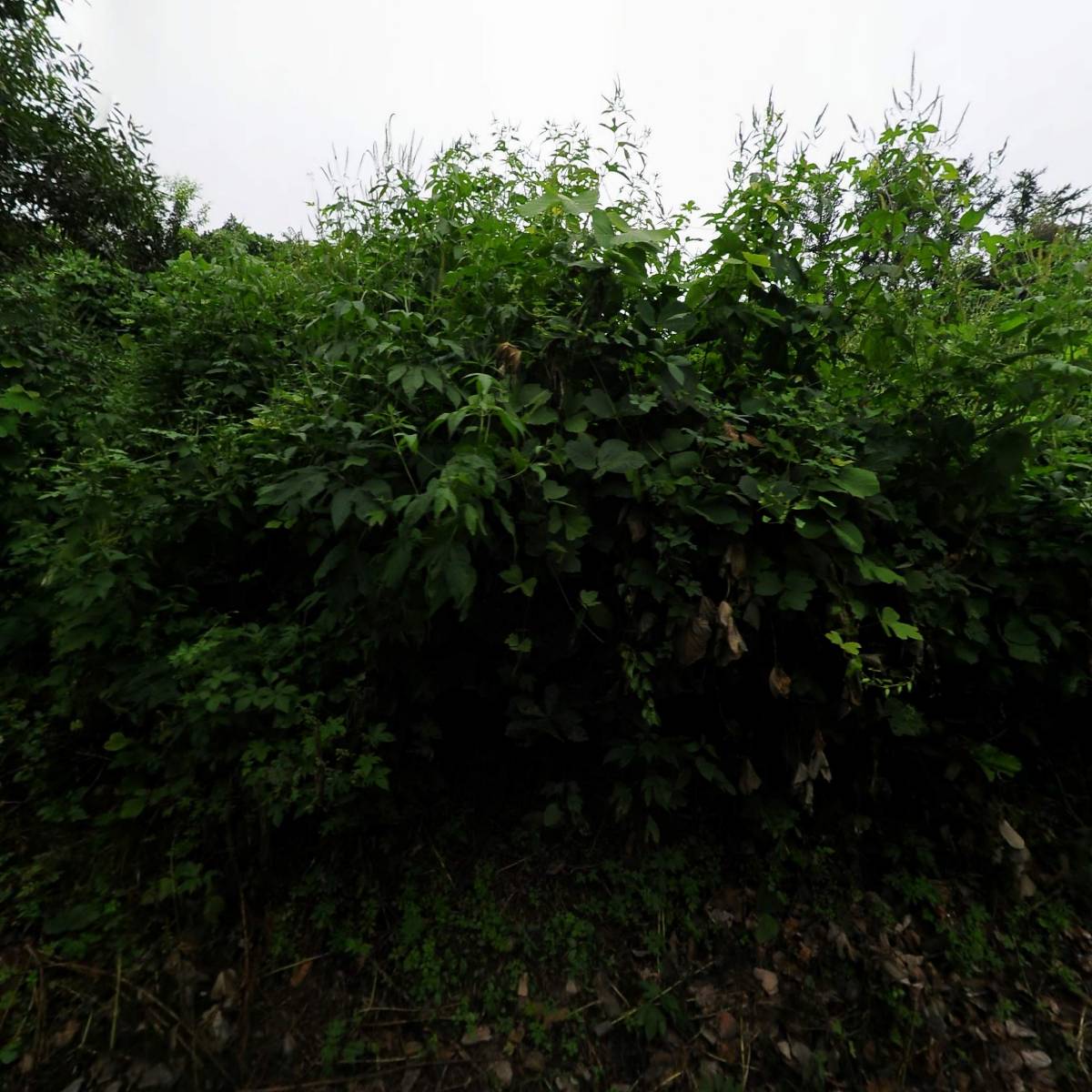 (주)엔엠케이유니버스