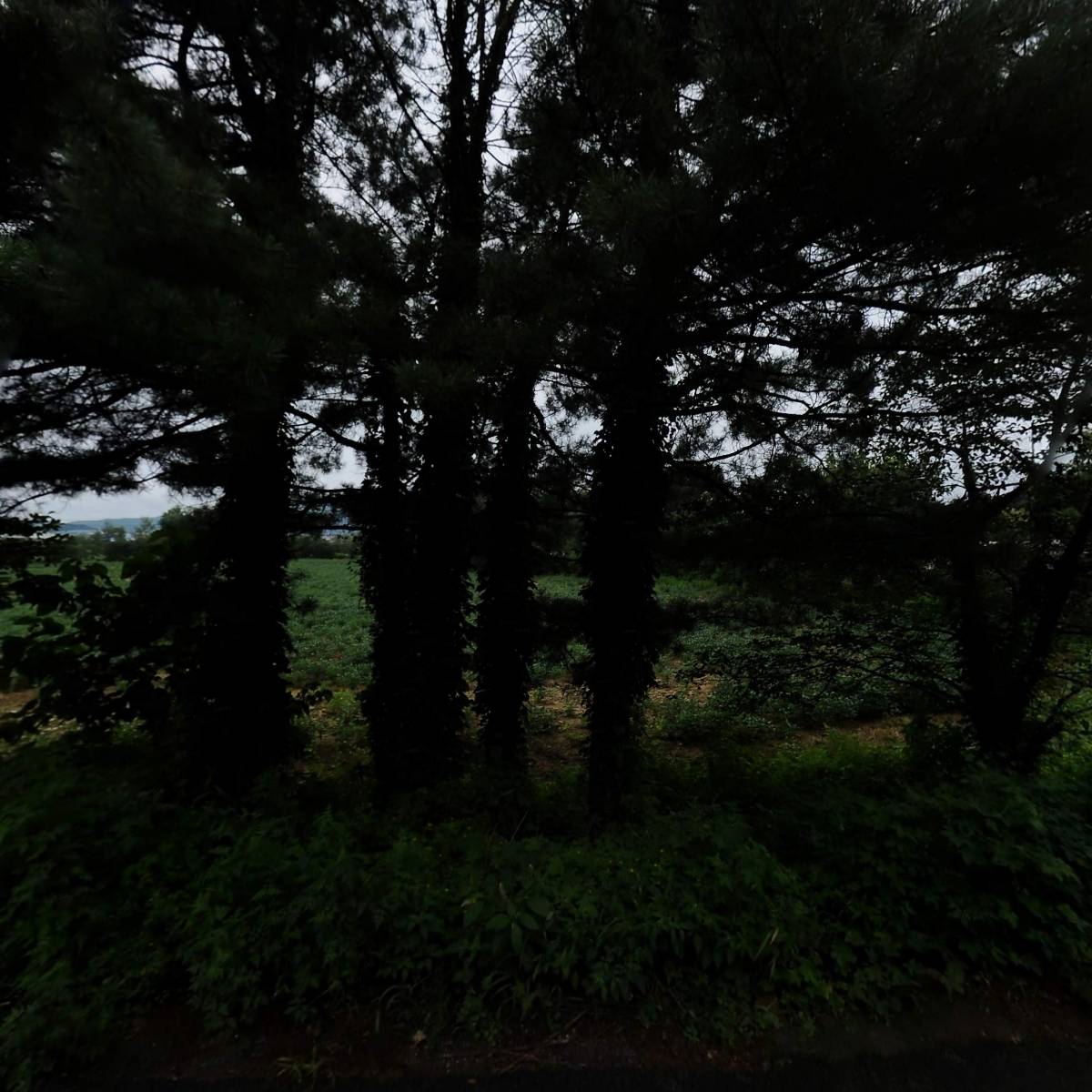 에스비블레싱_3