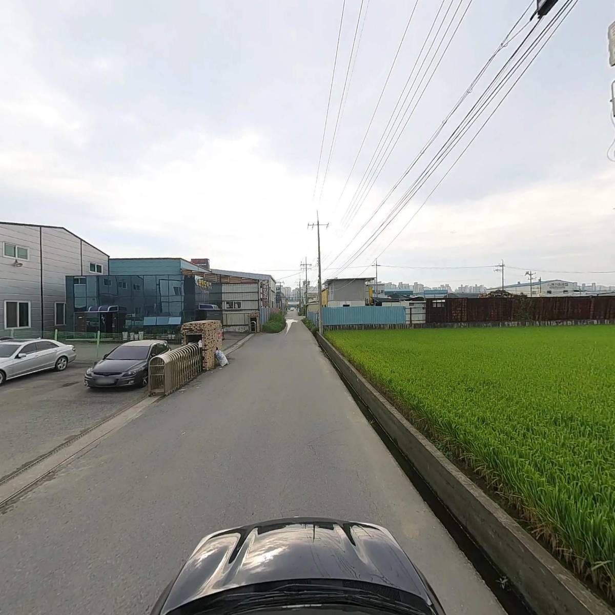 하영꽃농원_4