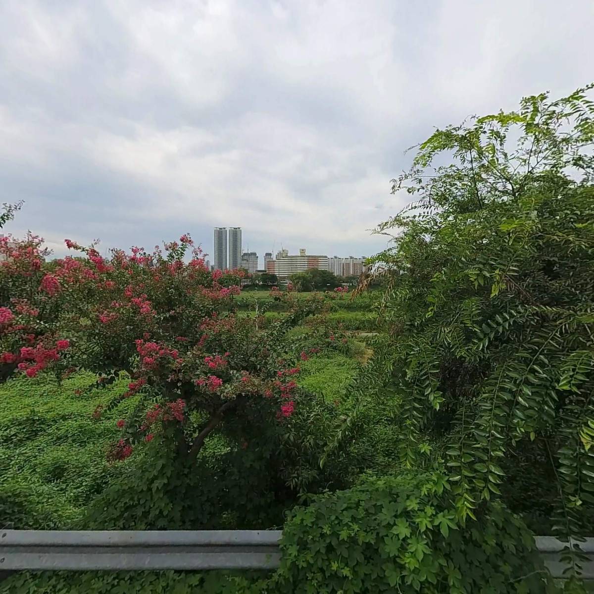 호남중량(도비)용역