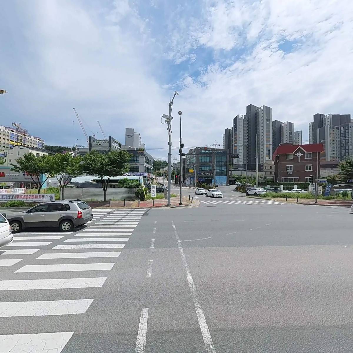 동백꽃사진관_3