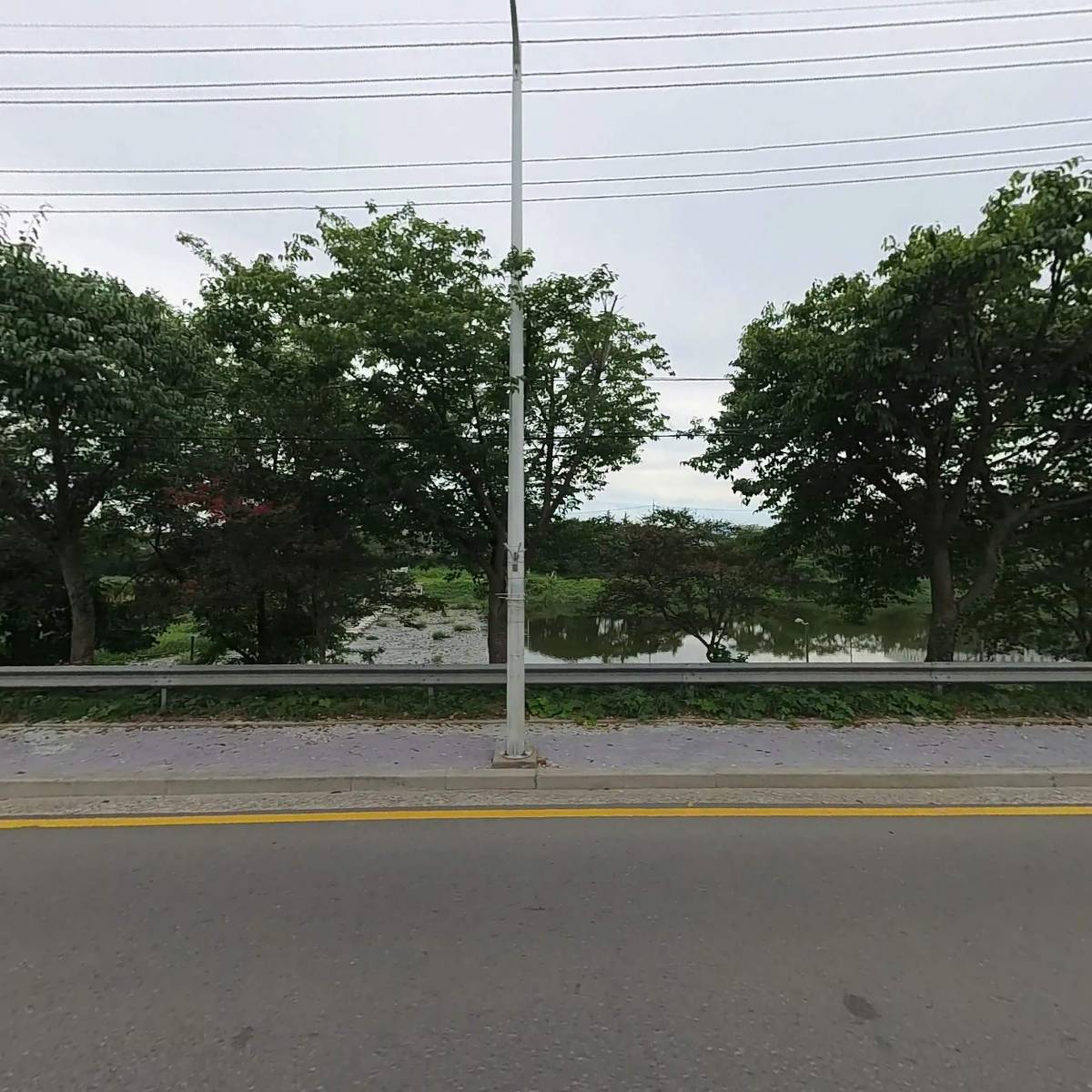 시우플라워