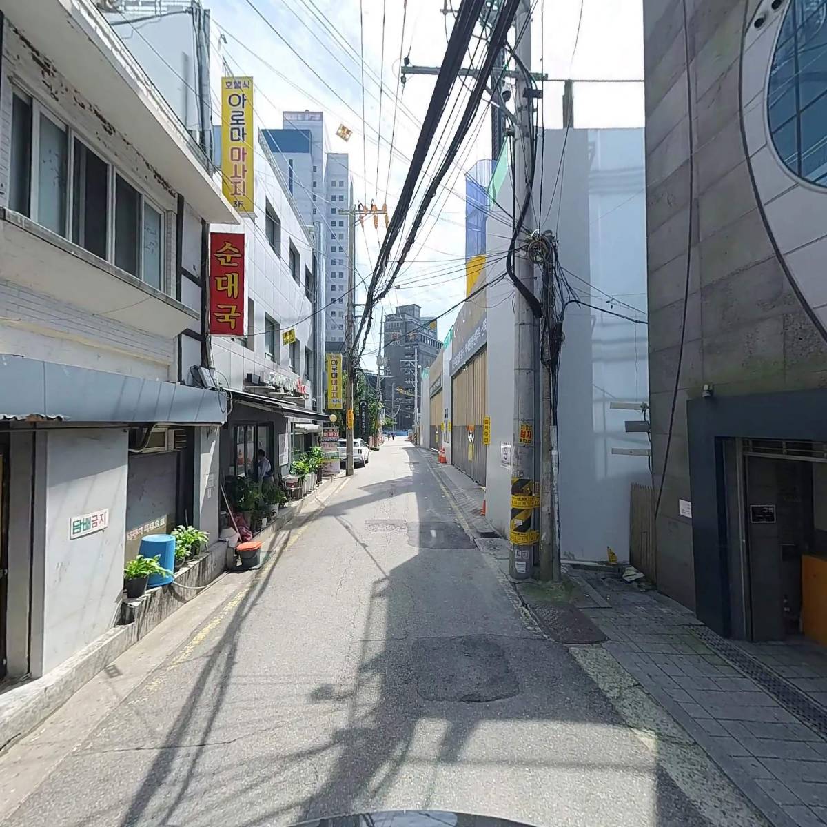 라운디 컬러_2