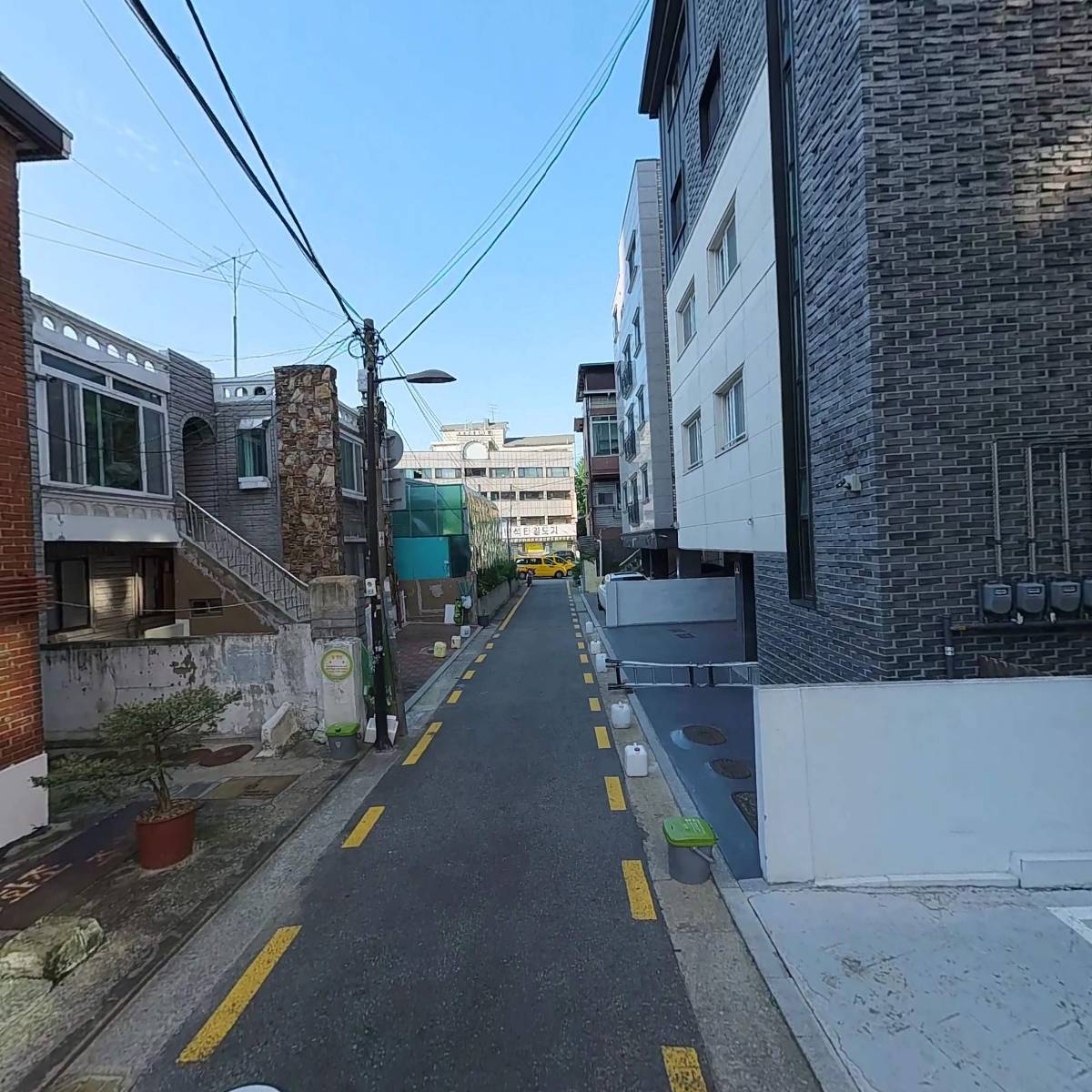 히마와리_2