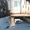 히마와리_3