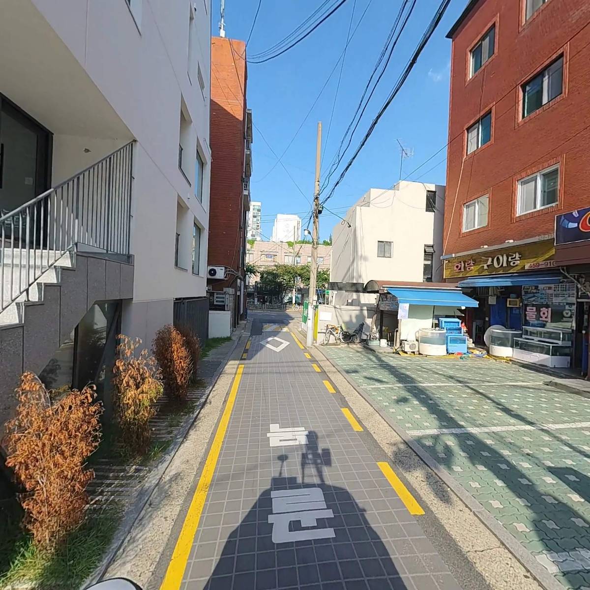 농업회사법인 유한회사 체스터_2