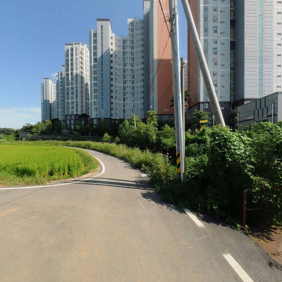 소혜진 강남제비_2