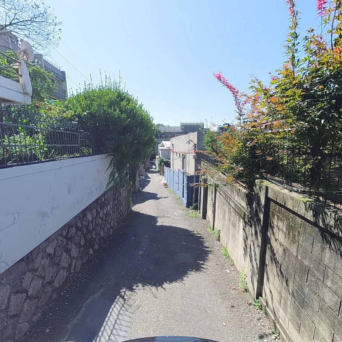 엑소제니끄 주식회사_2