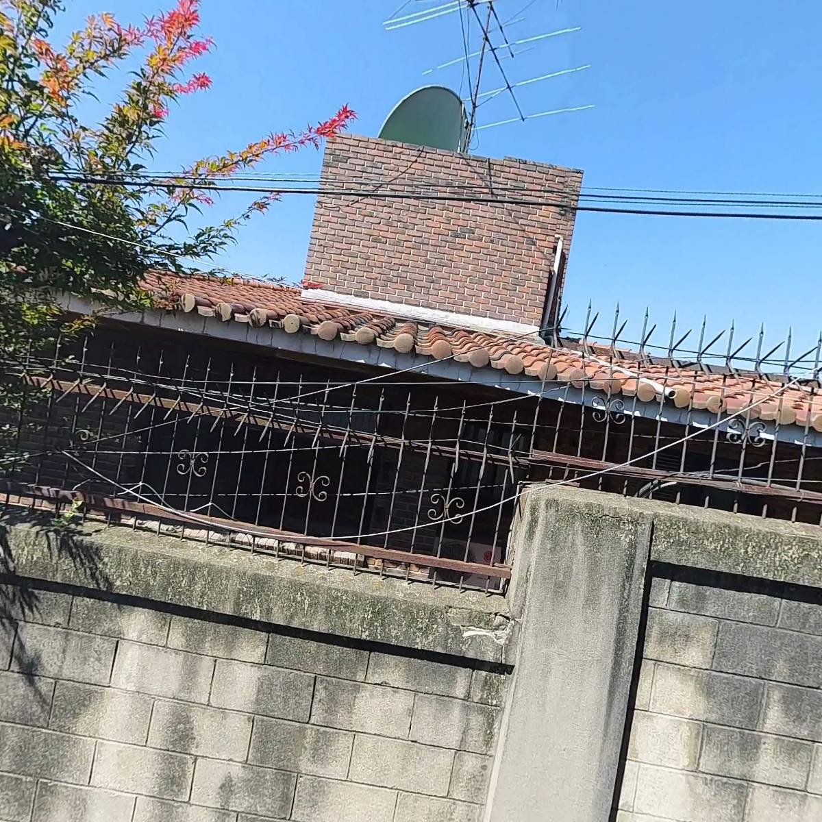 엑소제니끄 주식회사_3