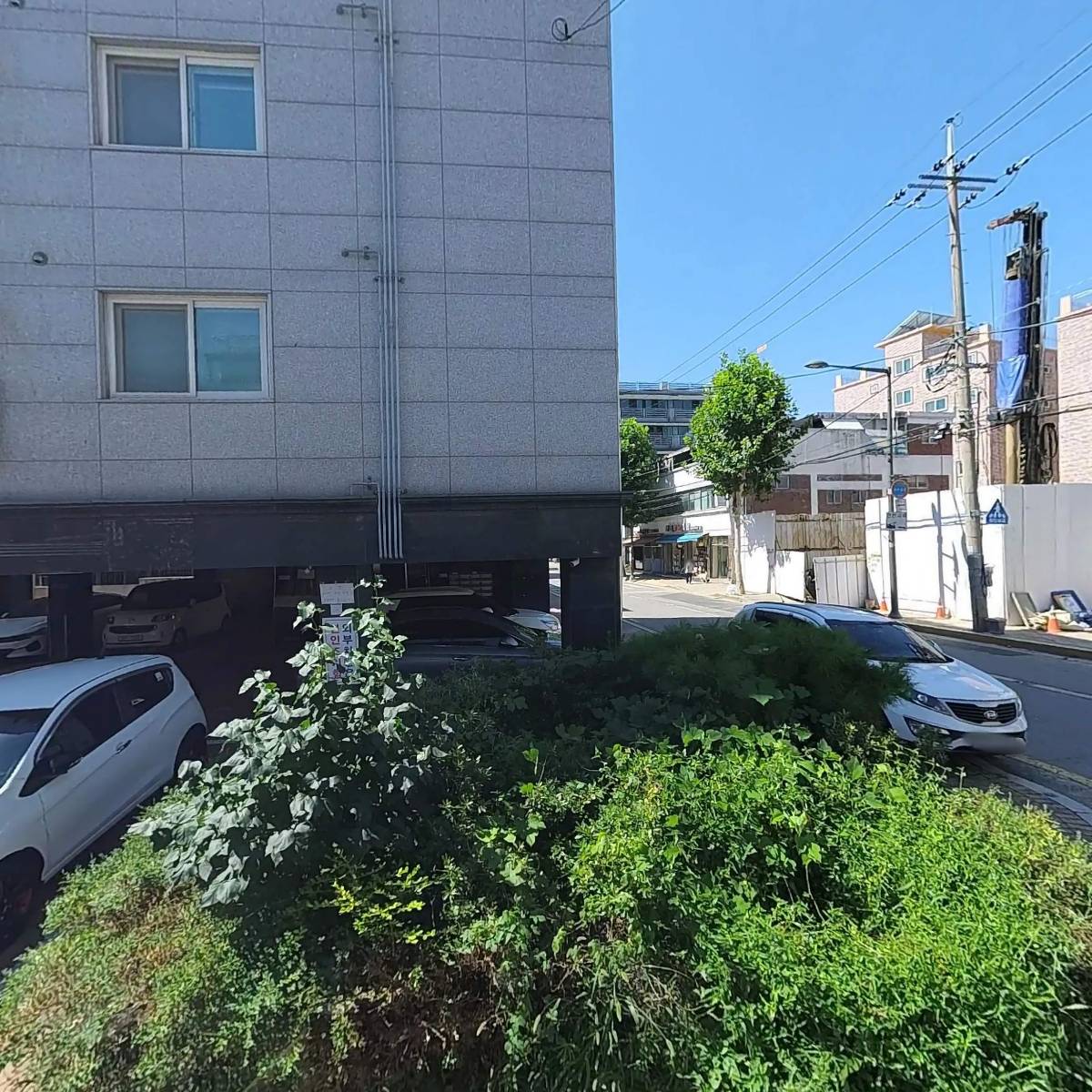 백년황소