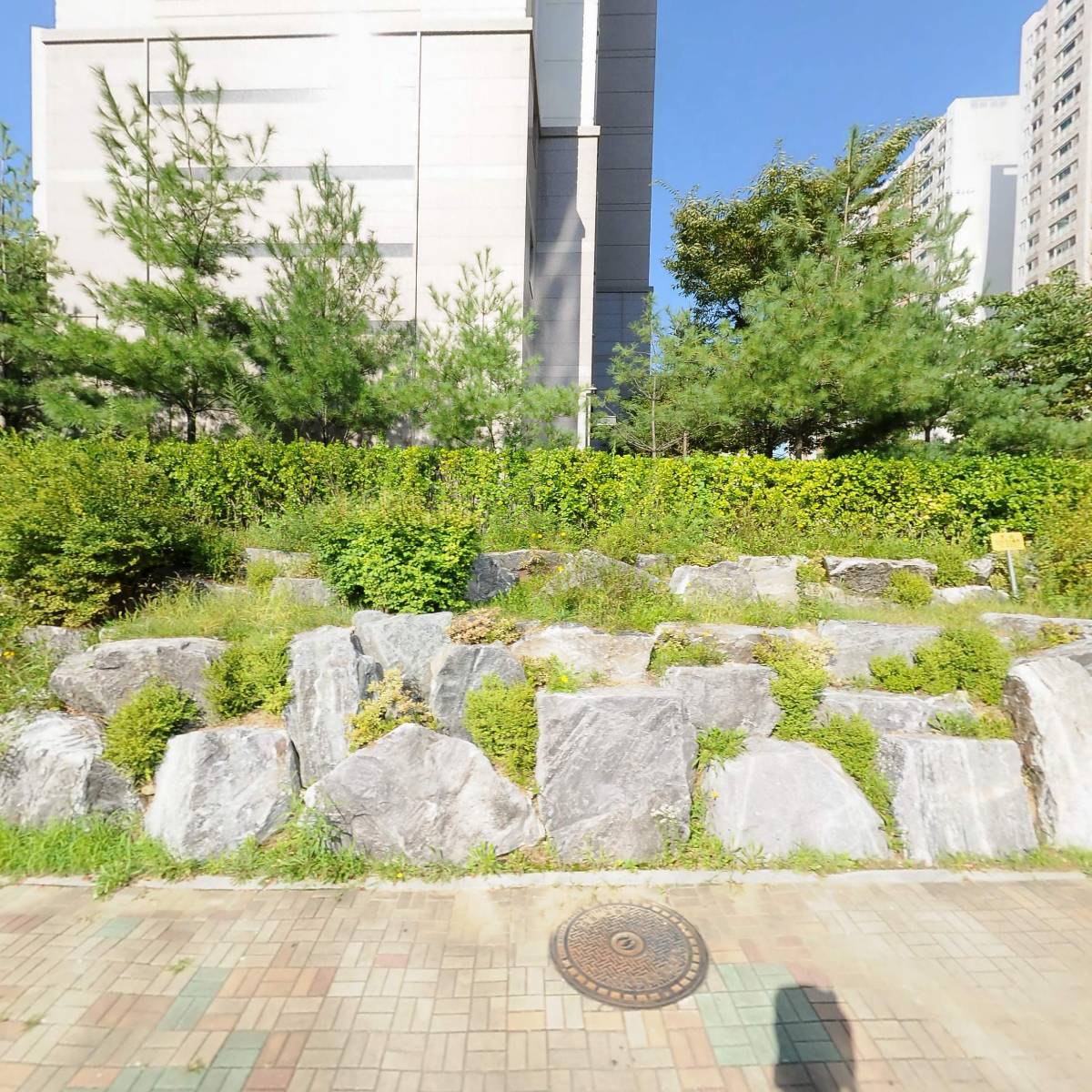 브라이트