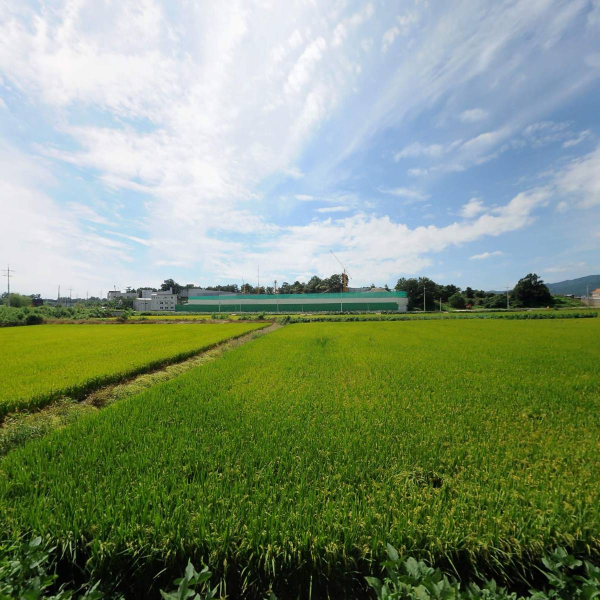 신영이엔씨(주)