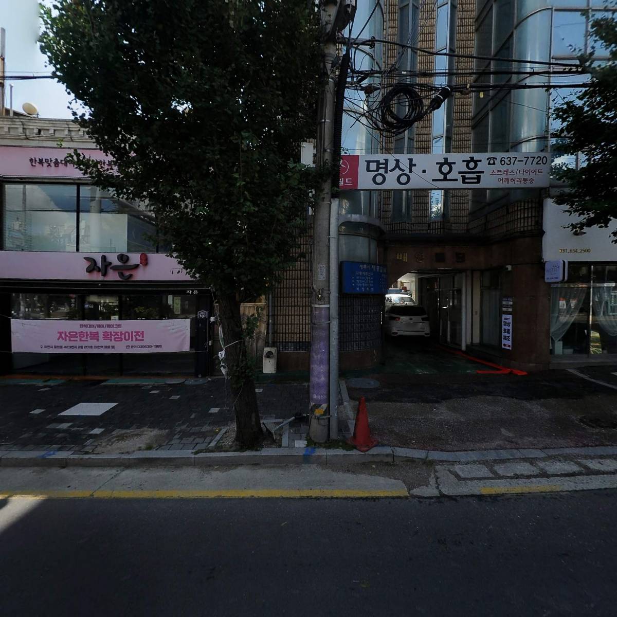 동경참치
