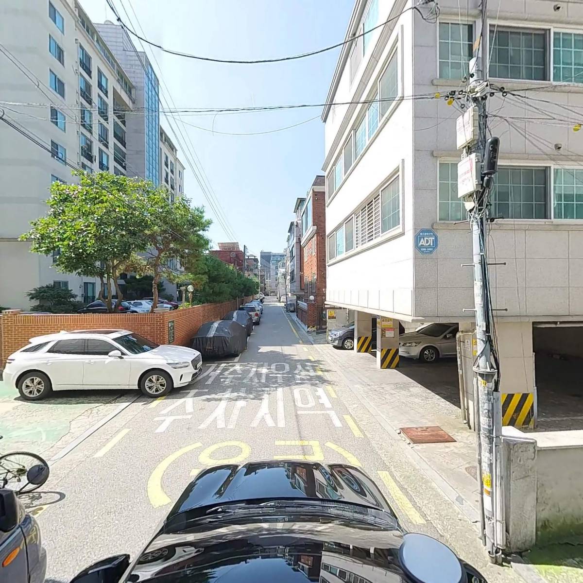 서두산딤섬만두_4
