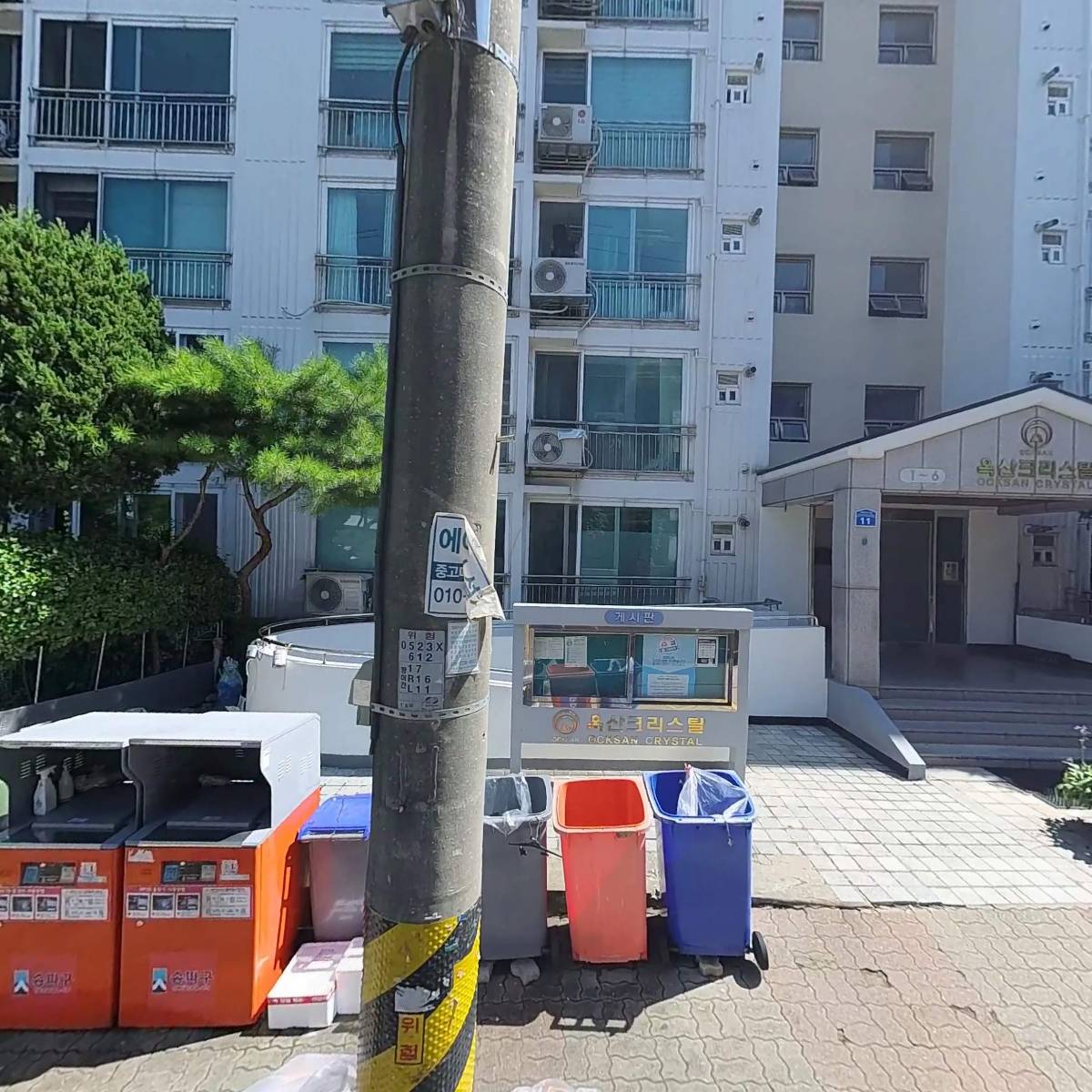 마이데이지(mydaisy)