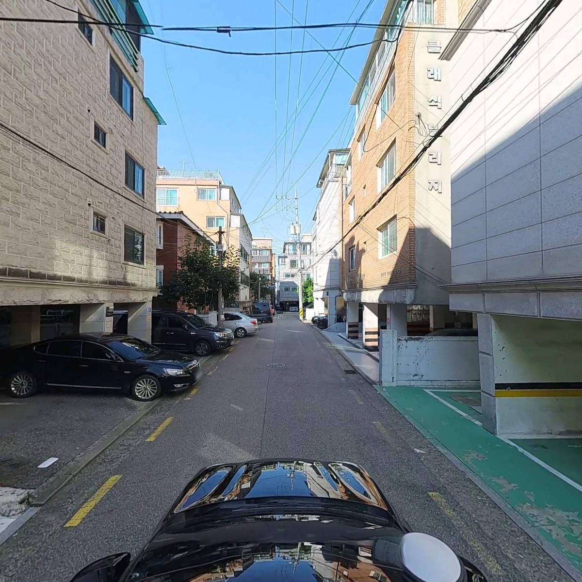 젬마_4