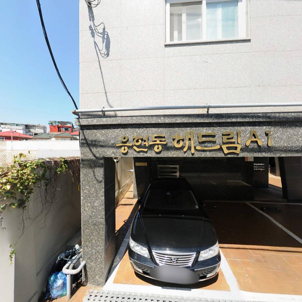 허니드림