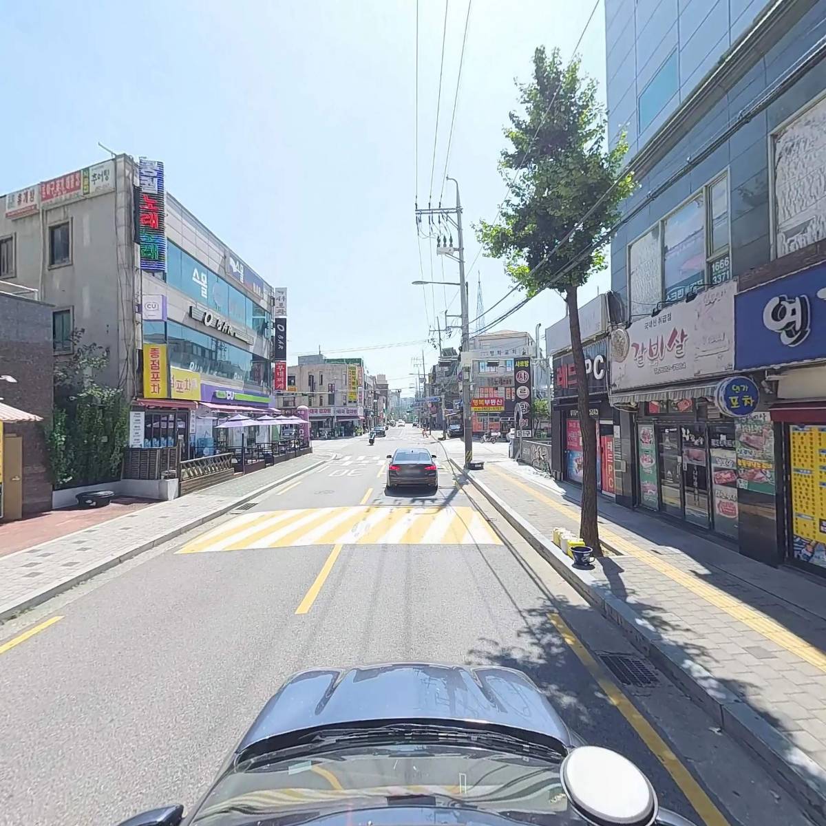 알지온_4