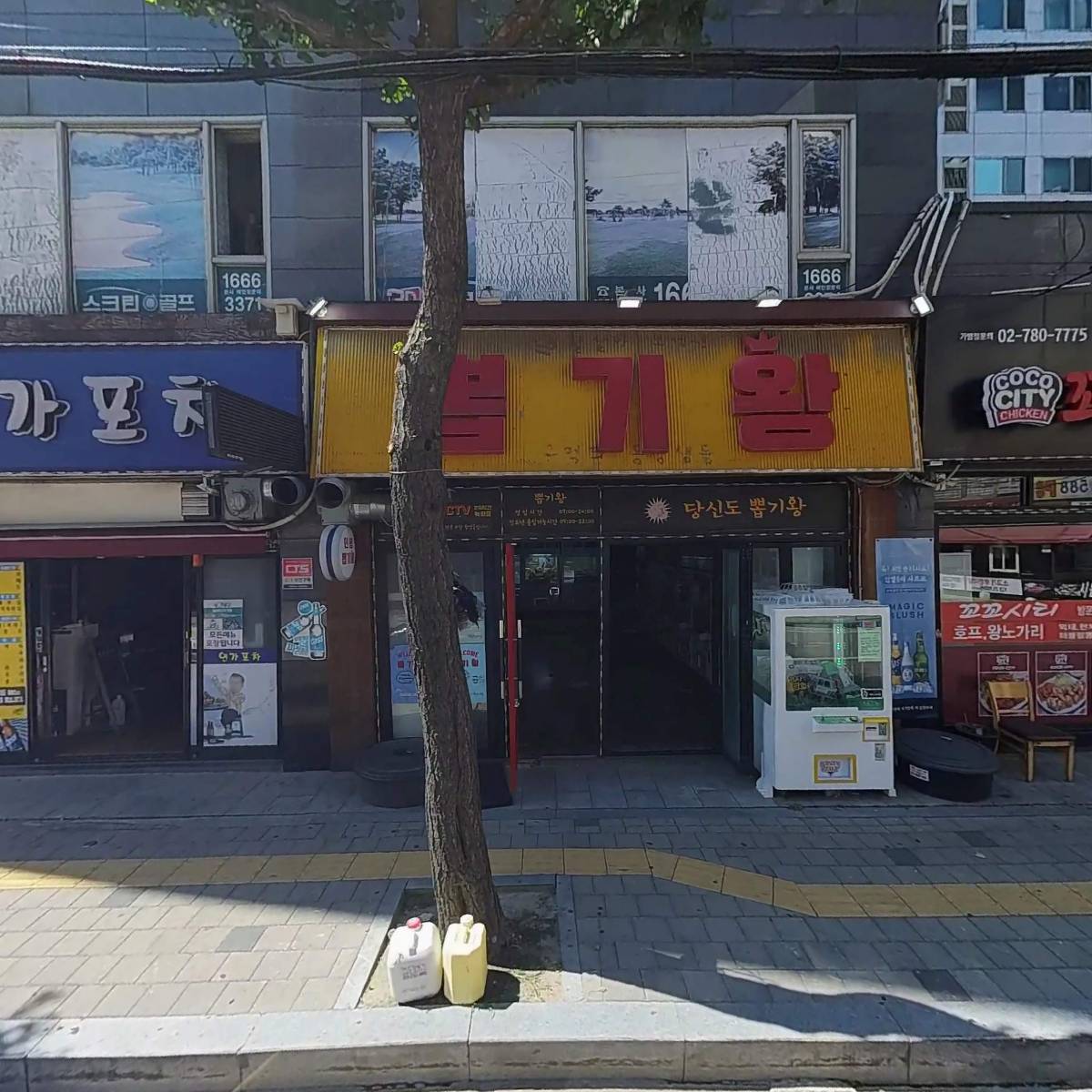 알지온
