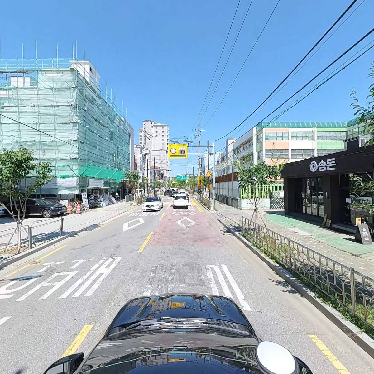 송돈_4