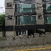띵샵_3