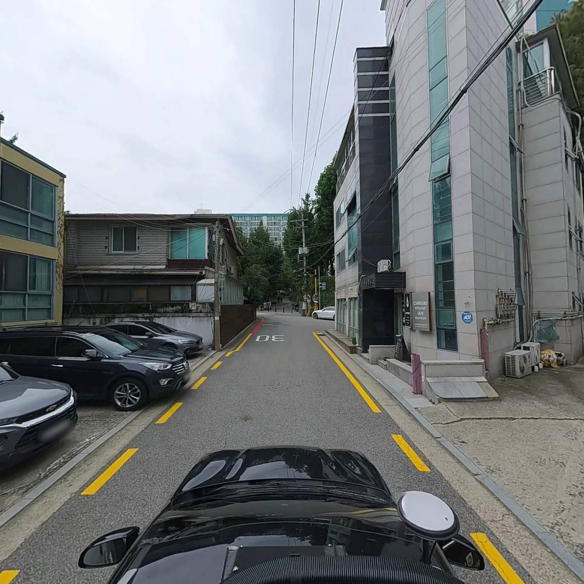 퀸나폴레옹_4