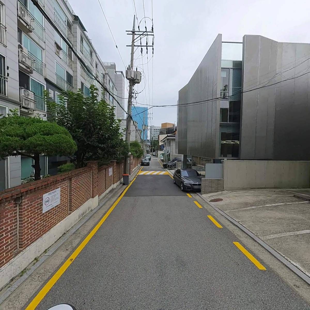 퀸나폴레옹_2